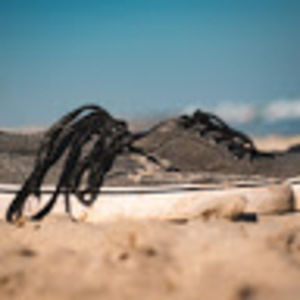 Meet your Posher, Henry